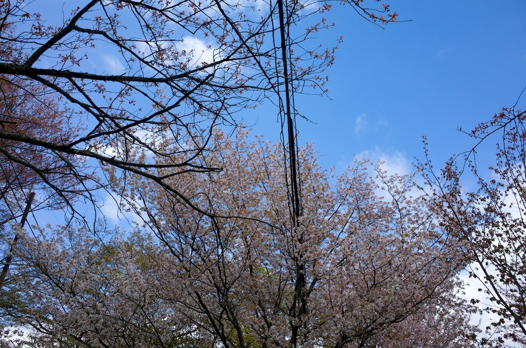R0220068