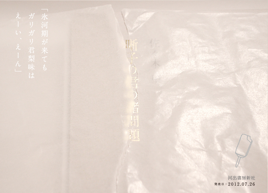 佐々木中　晰子の君野諸問題　2012年7月28日刊行　河出書房新社より